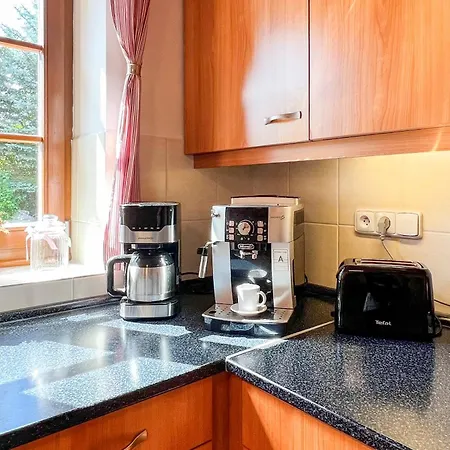 Honzik - Villa Vrchlabí