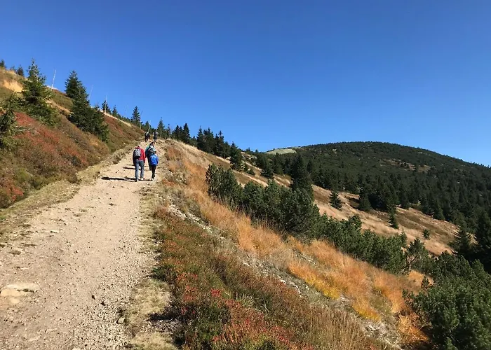Honzík - Vrchlabí